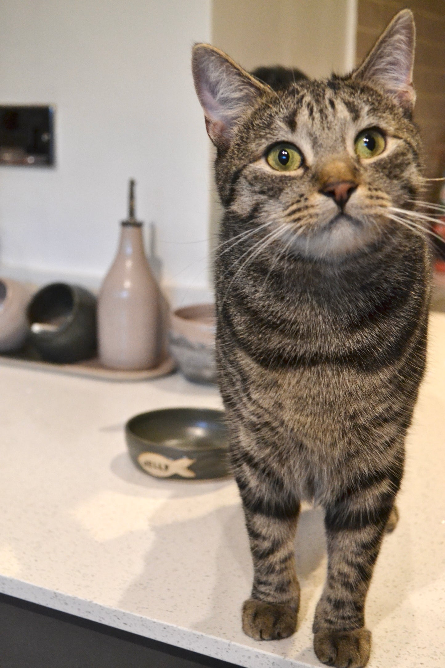 Personalised Cat Dish