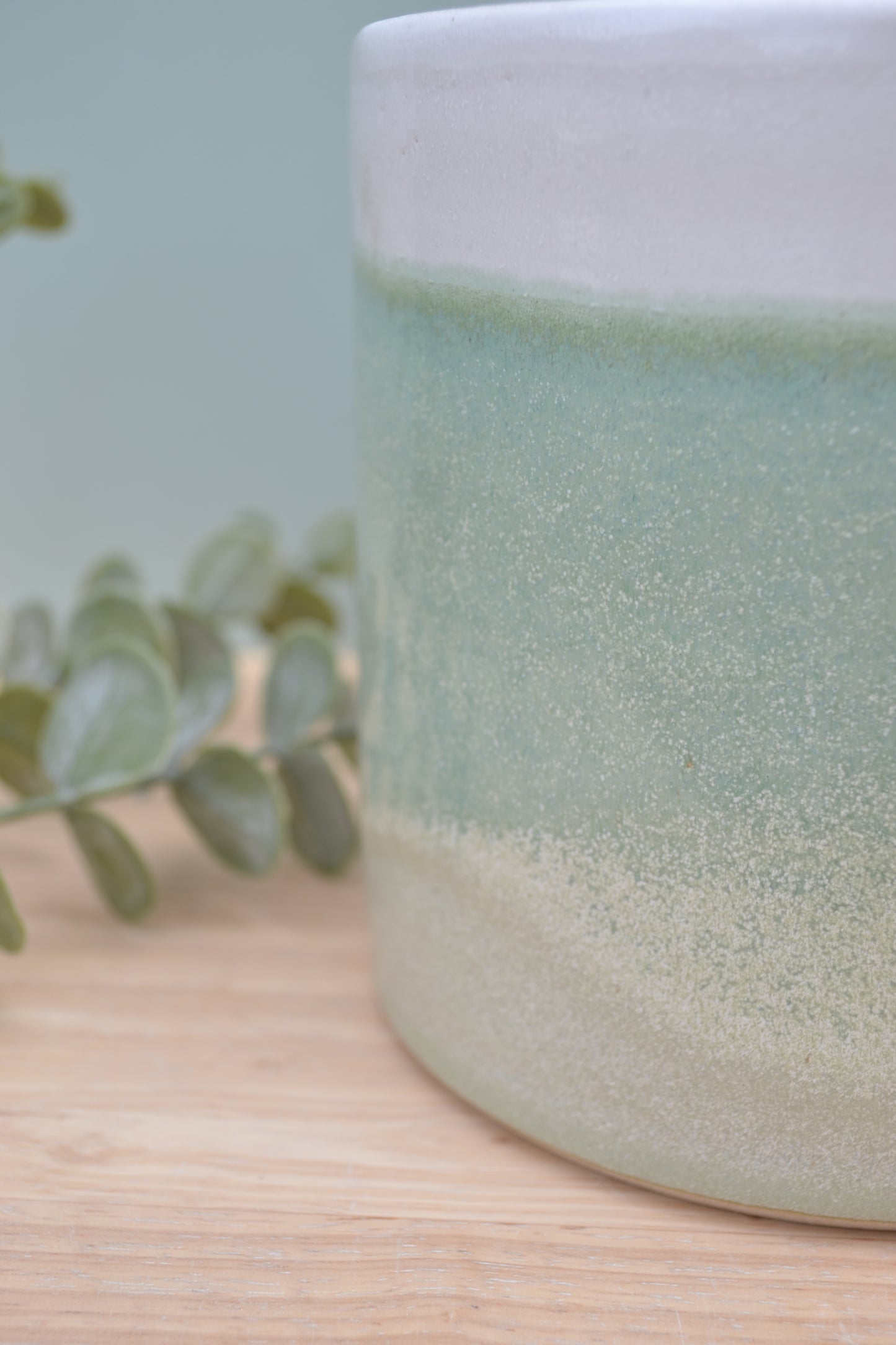 Plant Pot- Apple Blossom and White
