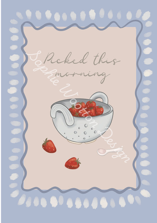'Picked this morning' Unframed Print