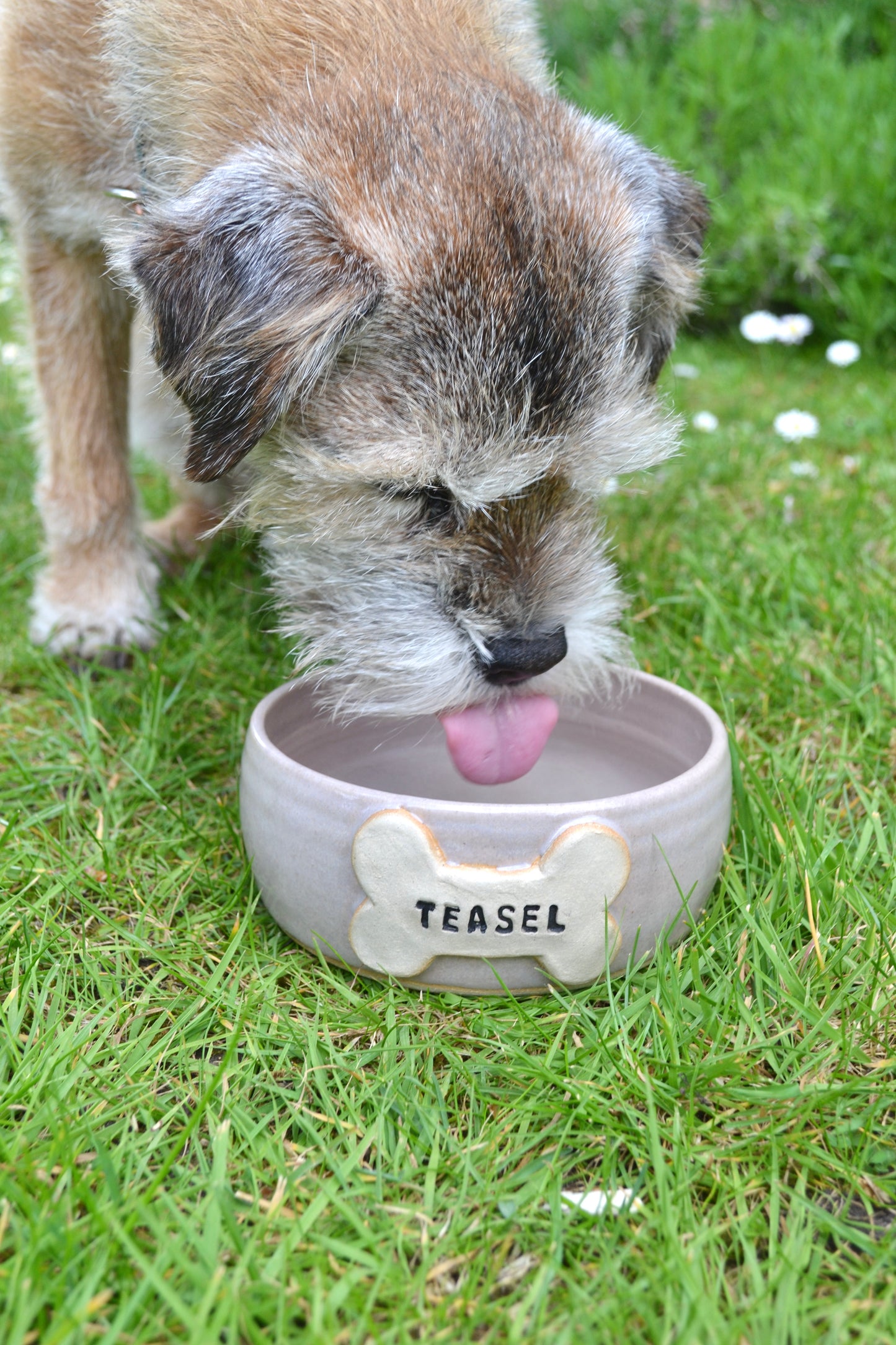 Large Personalised Dog Bowl