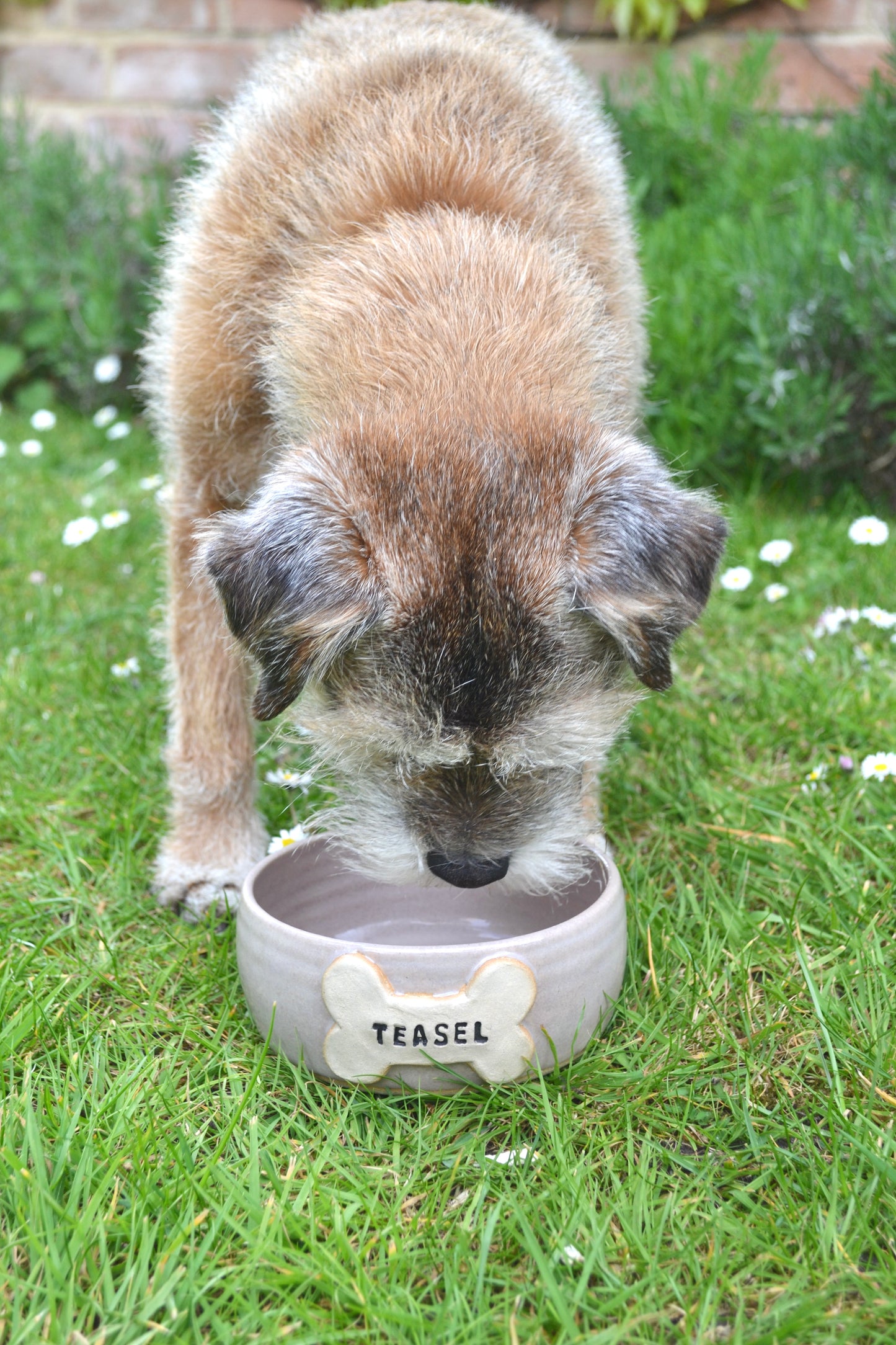 Small Personalised Dog Bowl