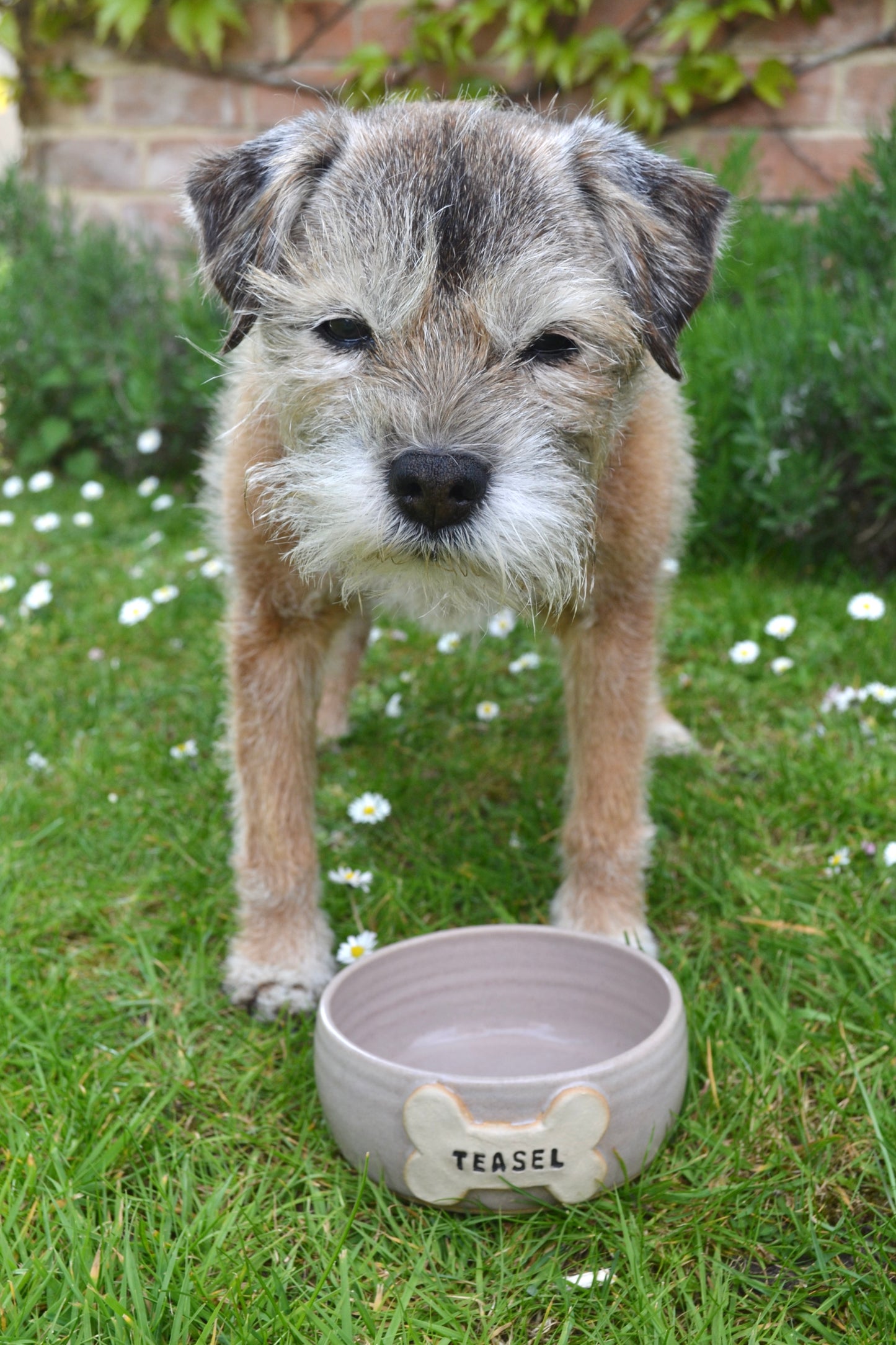 Large Personalised Dog Bowl